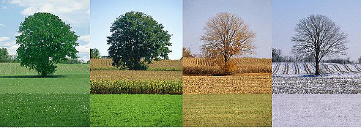 2D惊悚探索游戏《幽闭深渊》上线steam 支持中文